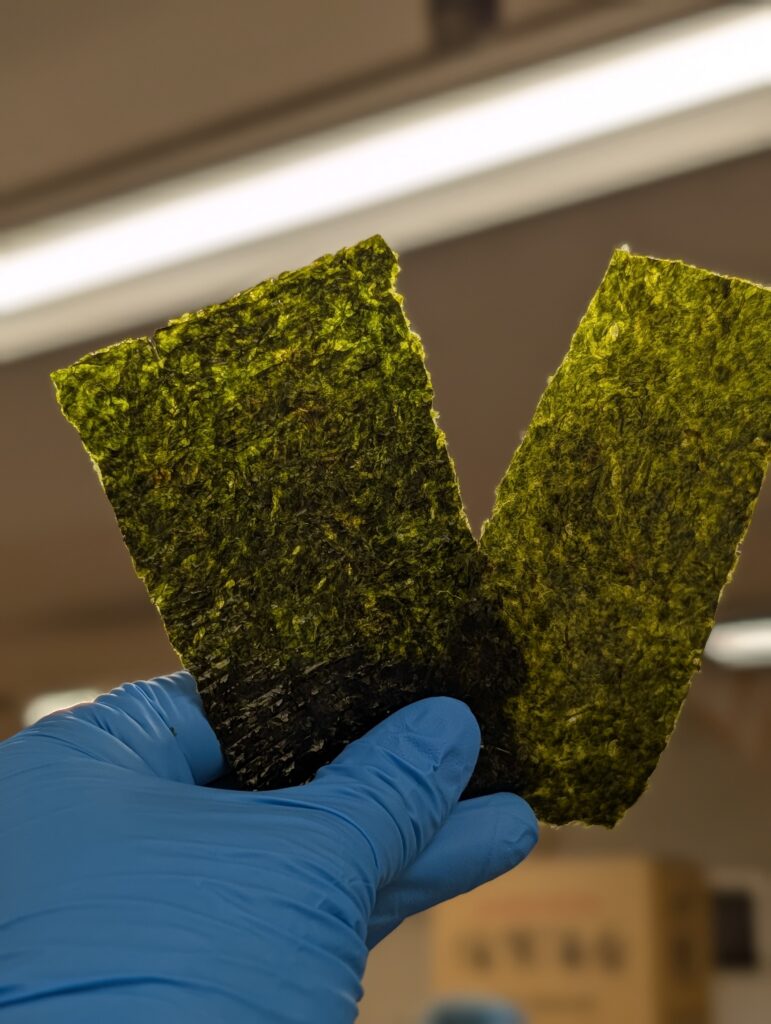 大田区 守半海苔店 食育イベントの様子